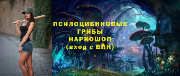 метадон Алексеевка